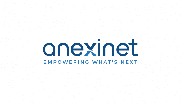 Anexinet logo